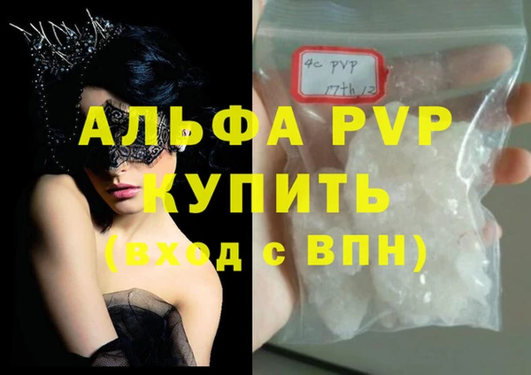 дмт Белокуриха