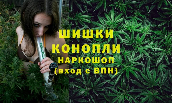 дмт Белокуриха