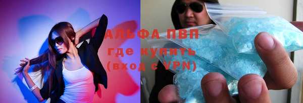 дмт Белокуриха