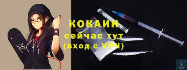 дмт Белокуриха