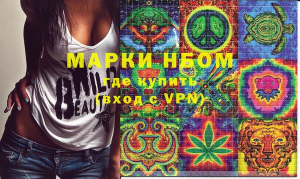 дмт Белокуриха