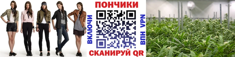 Канабис индика купить закладку Балаково